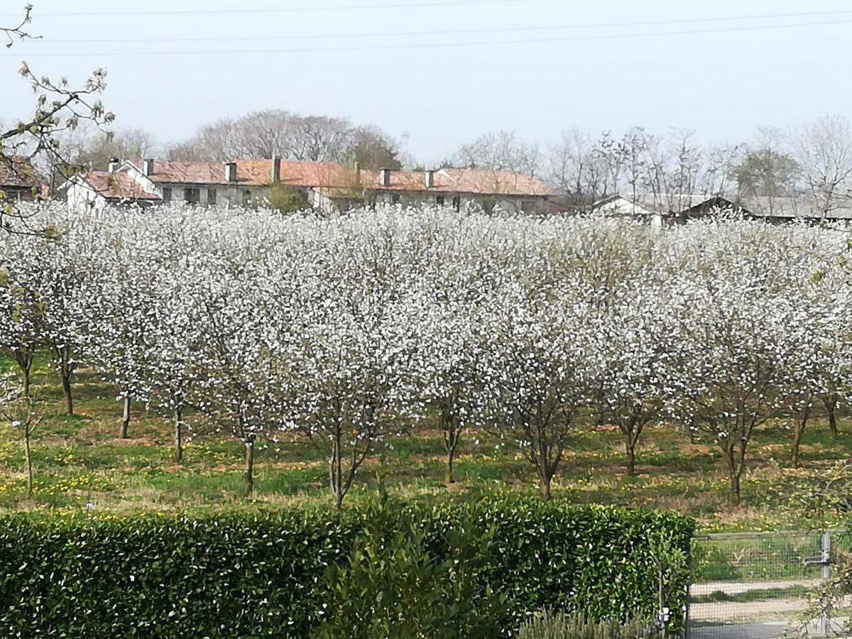 Borgo Barucchella Hotel Sant'Andra Buitenkant foto